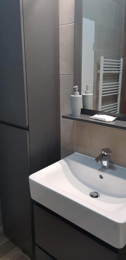 Апартаменти Apartament Modern Ioan Popasu Брашов Екстер'єр фото